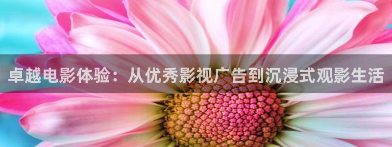 新福利电影院被窝：卓越电影体验：从优秀影视广告到沉浸式观影生活