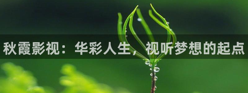 被窝电影在线播放