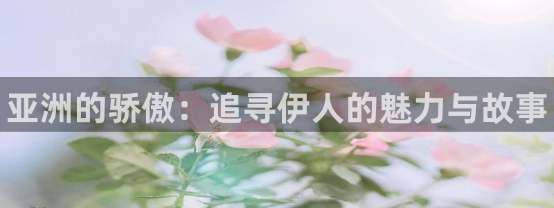 被窝午夜私人电影院：亚洲的骄傲：追寻伊人的魅力与故事