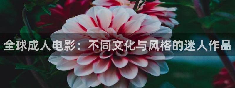 被窝电影网我不卡：全球成人电影：不同文化与风格的迷人作品