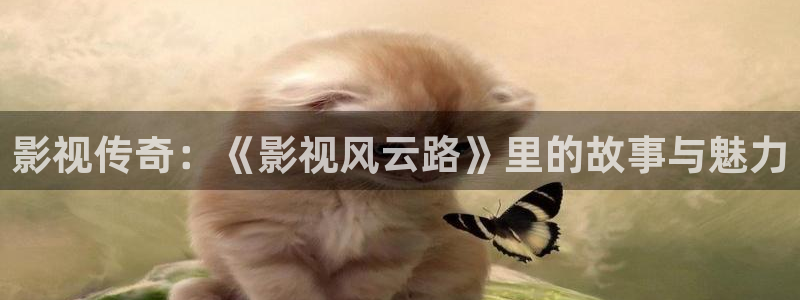 被窝影院免费：影视传奇：《影视风云路》里的故事与魅力