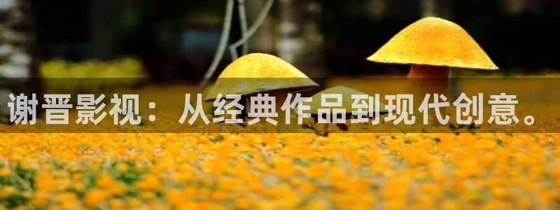 被窝电影免费观看：谢晋影视：从经典作品到现代创意。